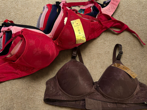 Economy Multi-Colour Single Padded Bras for Women – Affordable Pack (Sizes 32–42)