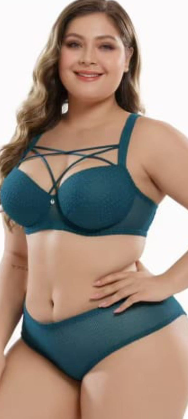 Silken Plus-Size E-Cup Bra & Panty Set – Thin Cup, Ultra Support, Premium Comfort (Sizes 42E–48E)